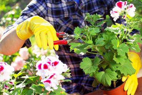 Professionals performing garden clearance in Hornsey