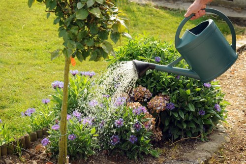 Garden clearance team removing green waste from a terraced property