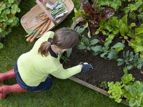 Gardener working on hedge trimming with safety measures in place