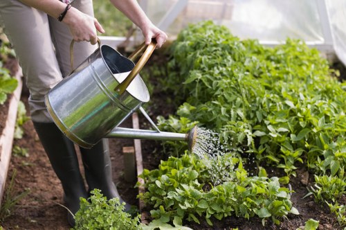 Lush green garden maintained by Hornsey Gardening Services